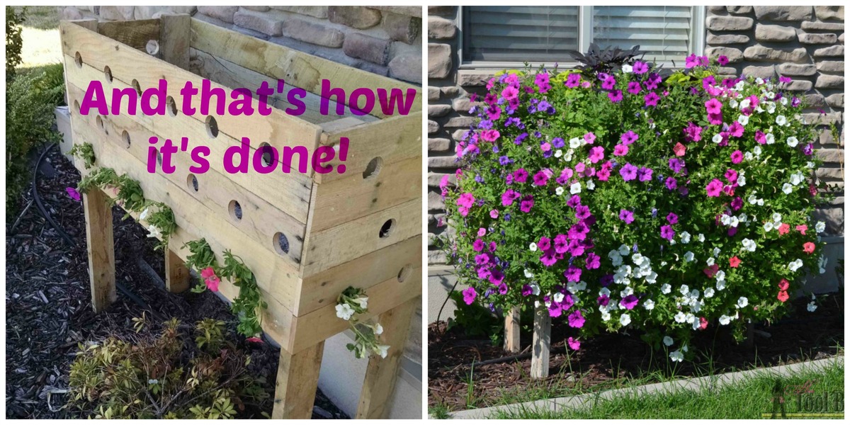 Ana White Cascading Planter Pallet Project Featuring Her Tool Belt